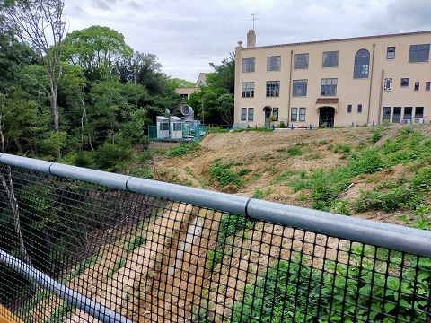 240713 大学 (2) 240713 大学 (2)