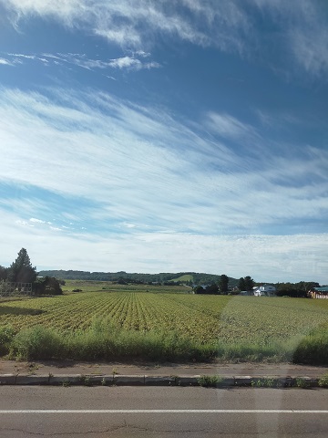 240901 北海道2日目 (3) 240901 北海道2日目 (3)