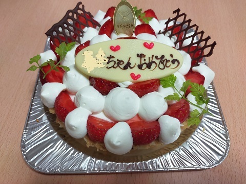 240823 ケーキ・和菓子 (3) 240823 ケーキ・和菓子 (3)