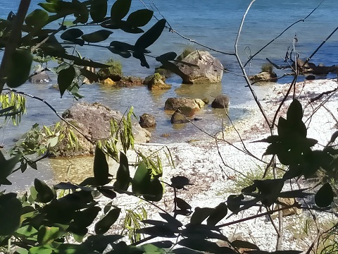 240902 北海道3日目 (28) 240902 北海道3日目 (28)