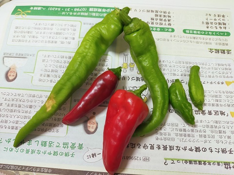 240909 本 (1) 240909 本 (1)