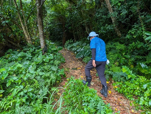 250420 名護・杭打ち・灯台跡から (1) 250420 名護・杭打ち・灯台跡から (1)
