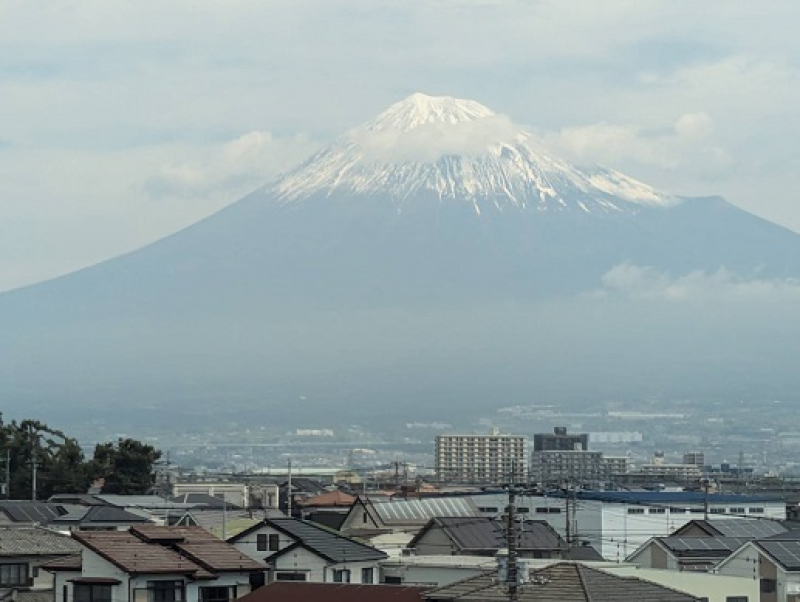 250504 沼津から帰る (4) 250504 沼津から帰る (4)