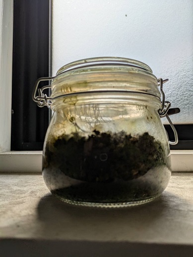 250512　密閉世界・本 (2)