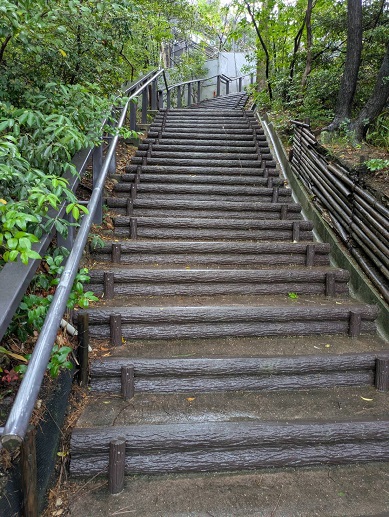 250517 大学 (1) 250517 大学 (1)