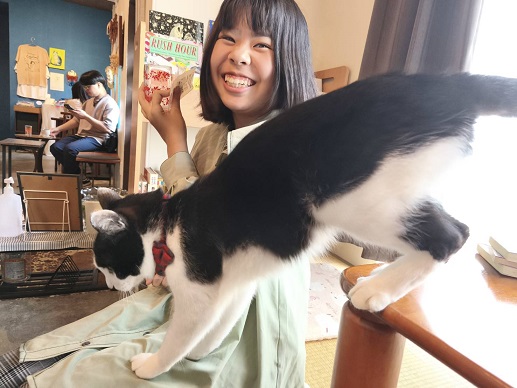 250601 妹新参猫カフェ (5) 250601 妹新参猫カフェ (5)