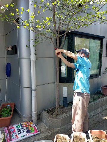 240414 プランター・本 (1) 240414 プランター・本 (1)