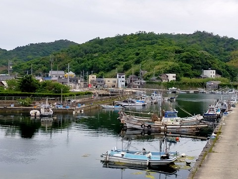 240523 島散歩 (11) 240523 島散歩 (11)