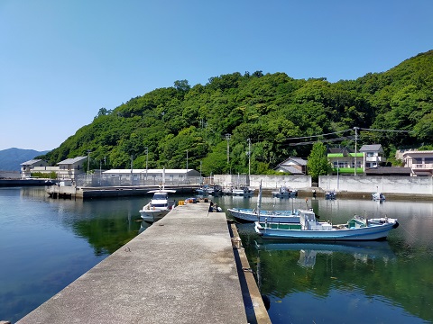 240614 島散歩 (1) 240614 島散歩 (1)