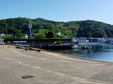 240614 島散歩 (1) 240614 島散歩 (1)