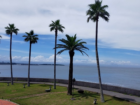 240727 宮崎 (13) 240727 宮崎 (13)