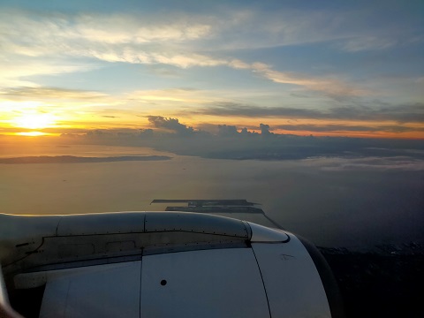 240727 宮崎 (29) 240727 宮崎 (29)