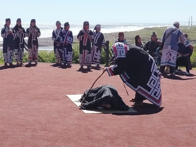 240901 北海道2日目 (46) 240901 北海道2日目 (46)