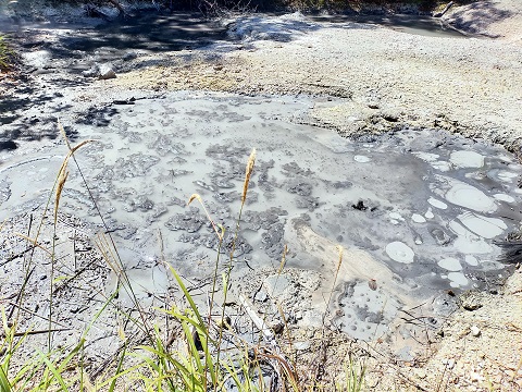 240902 北海道3日目 (16) 240902 北海道3日目 (16)