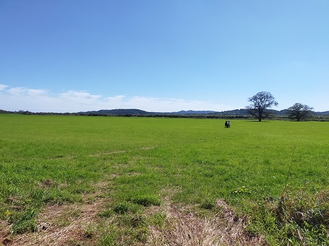 240903 北海道4日目 (69) 240903 北海道4日目 (69)