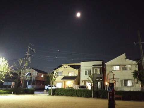 241013 本・お好み焼き (2) 241013 本・お好み焼き (2)