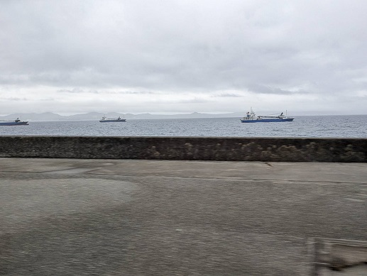 250420 名護・名護湾 (16) 250420 名護・名護湾 (16)