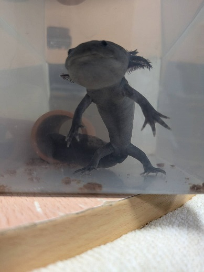 250502 ウパと本 (10) 250502 ウパと本 (10)