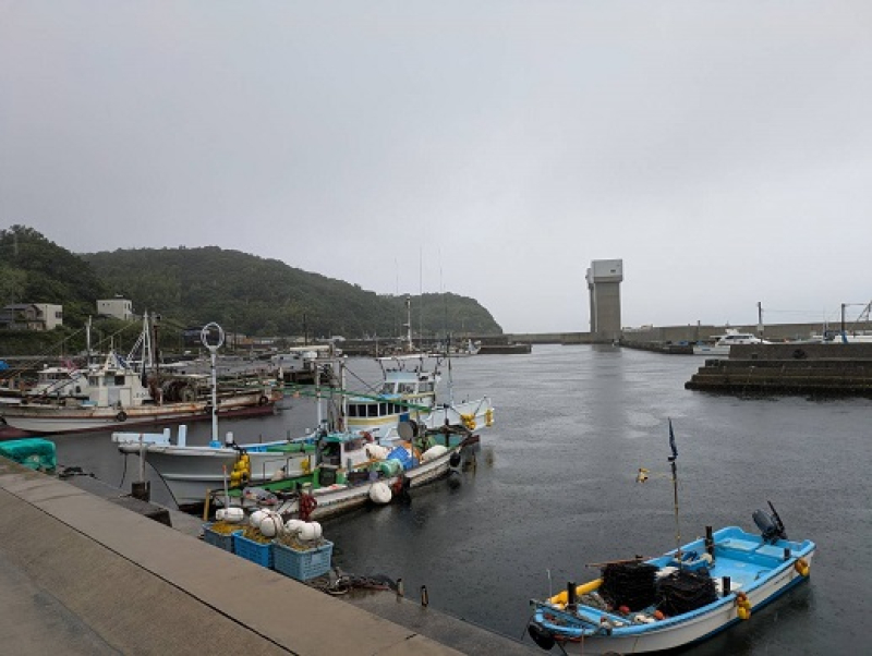 250610 吉甚 (5) 250610 吉甚 (5)