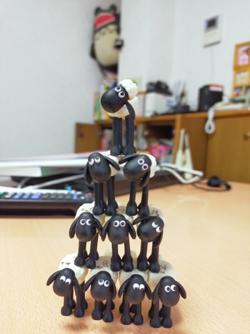 241014 ショーン (8) 241014 ショーン (8)