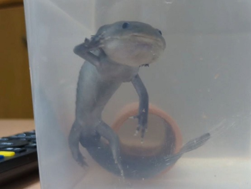 250707　ウパ先生