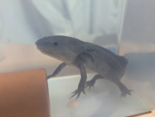 250604 ウパ先生 (3) 250604 ウパ先生 (3)