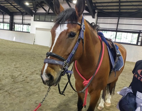 250611 乗馬 (4) 250611 乗馬 (4)