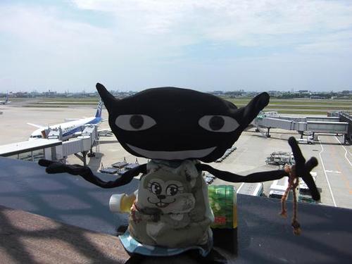 ２００８年　夏のワルコレ